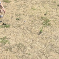 Leo J Martin Memorial Golf Club - Greens were criminally bad.