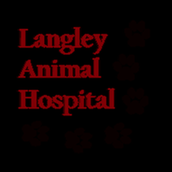 Langley Animal Hospital - untitled