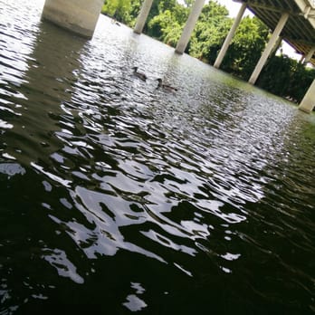 Rowing Dock - Love ducks! ;) - Boating Near Me - Austin, Texas