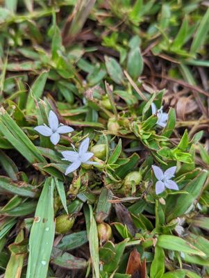 Bethany Lakes Park by null