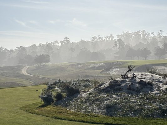 Cypress Point by null