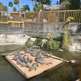 Smugglers Cove Adventure Golf - Mini Golf Near Me - Bradenton, Florida