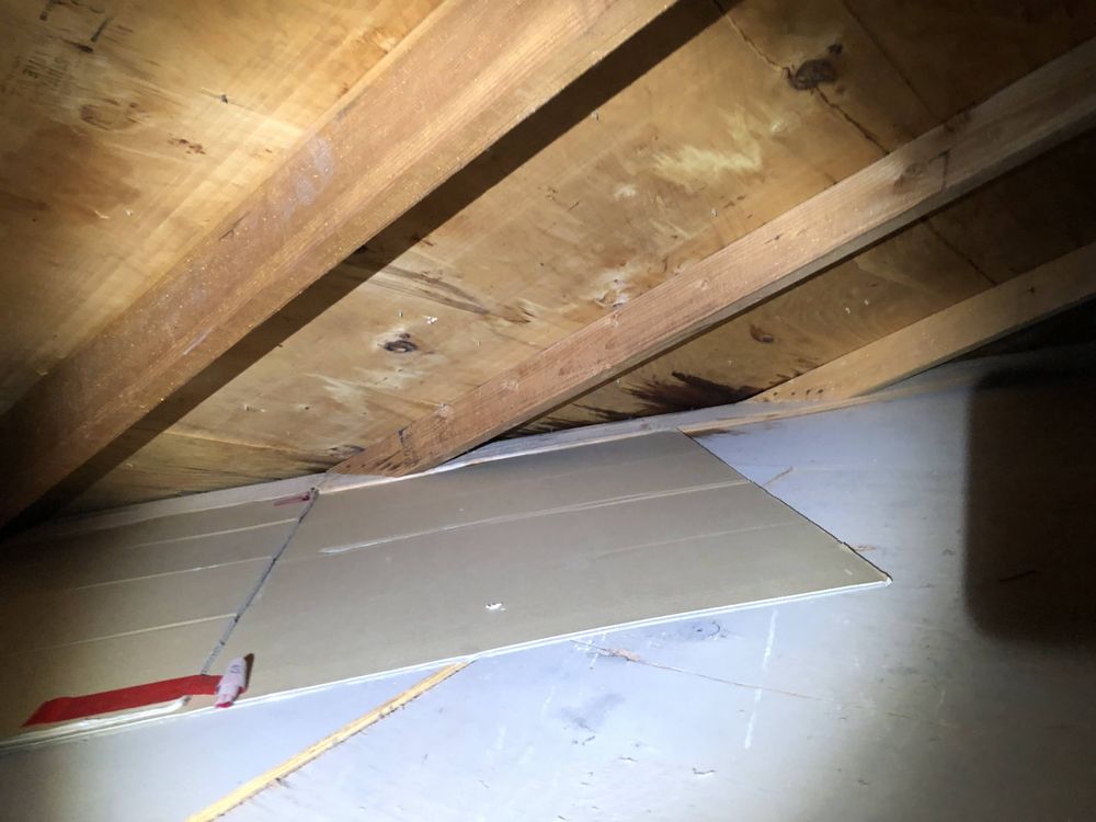 Slide of Extreme Roofing