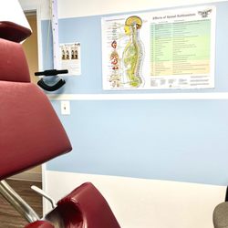 1st Choice Chiropractic: Hamzi Naserdean, DC