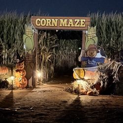 Abma's Farm - The flashlight corn maze at this place was great and fun. Coming again next year!!!