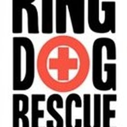 Ring Dog Rescue - Courtesy of www.ringdogrescue.org