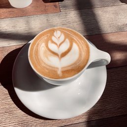 Cappuccino Cappuccino
