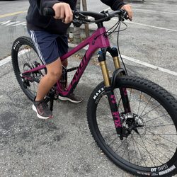 Belmont Bikes - Pivot Firebird