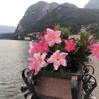 Hotel DU LAC - More gardens. Lots of wonderful walks. - Cafes Near Me - Menaggio, LC Hotel DU LAC - More gardens. Lots of wonderful walks. - Cafes Near Me - Menaggio, LC
