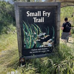 San Joaquin Fish Hatchery - Small fry trailhead