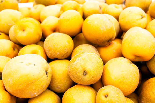 San Mateo Farmers' Market by null