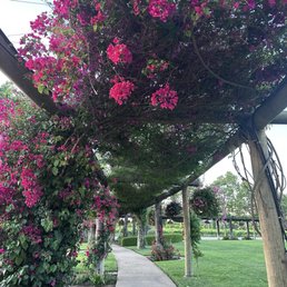 This is just one part of the flowers. The entire property is gorgeous.