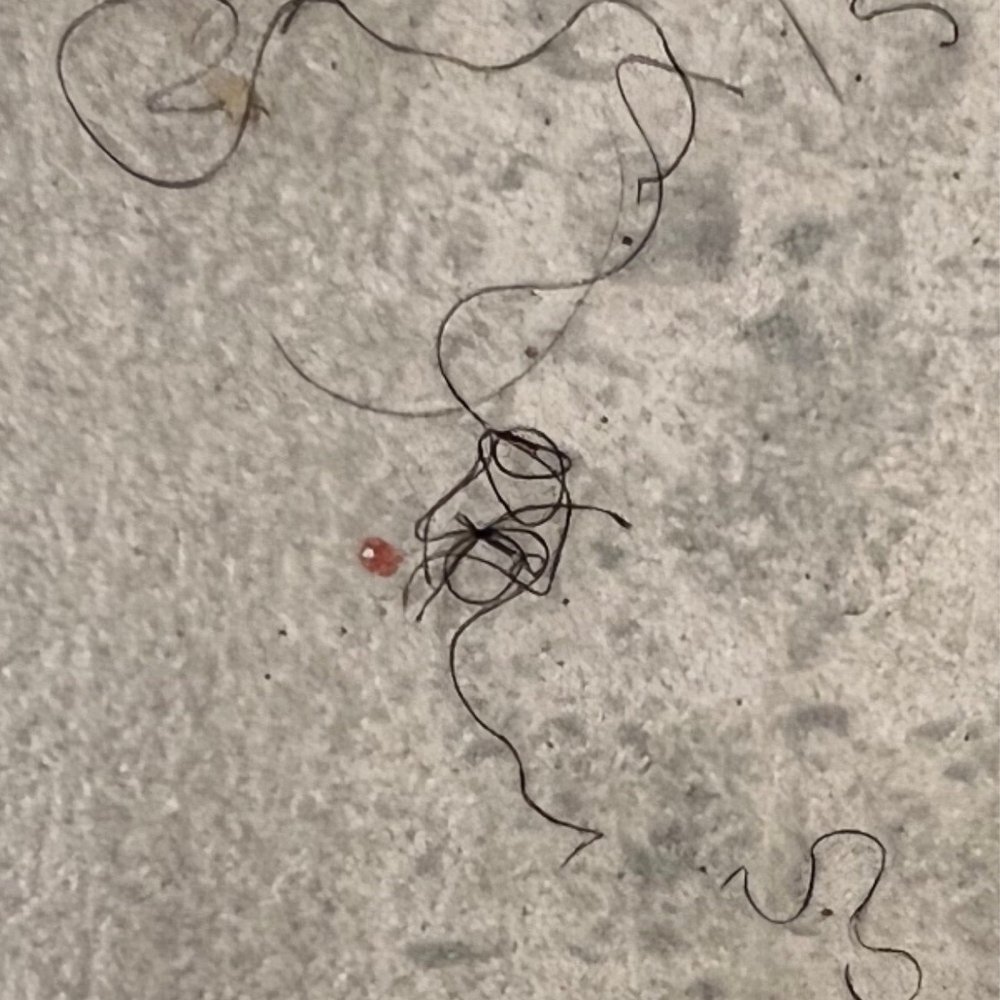Hair on floor