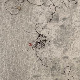 Hair on floor Hair on floor
