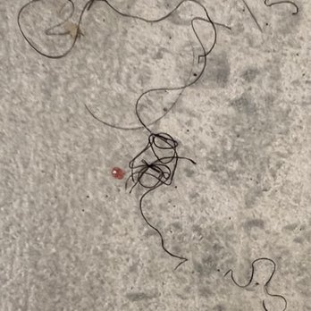 Holiday Inn Express & Suites Willows - Hair on floor - Hotels Near Me - Willows, California Holiday Inn Express & Suites Willows - Hair on floor - Hotels Near Me - Willows, California