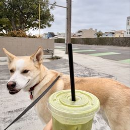 Strawberry Matcha Strawberry Matcha