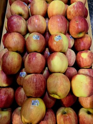 Whole Foods Market by null