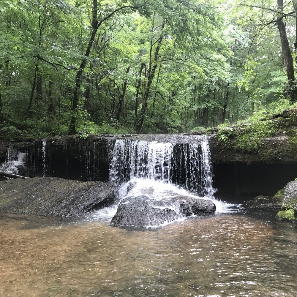 Top 10 Best Things to Do near Centerville, TN Last Updated July 2021