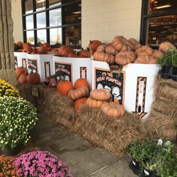 Albertsons