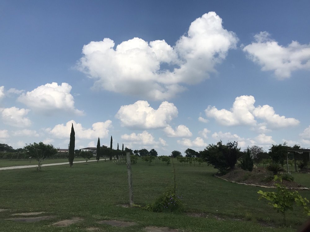 TEXAS MEAD WORKS 12 Photos & 14 Reviews 5151 Fm 20, Seguin, TX Yelp