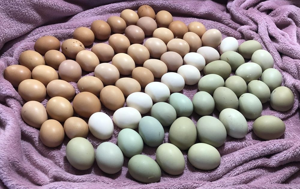 Ruthie's Roadside Pantry Logo