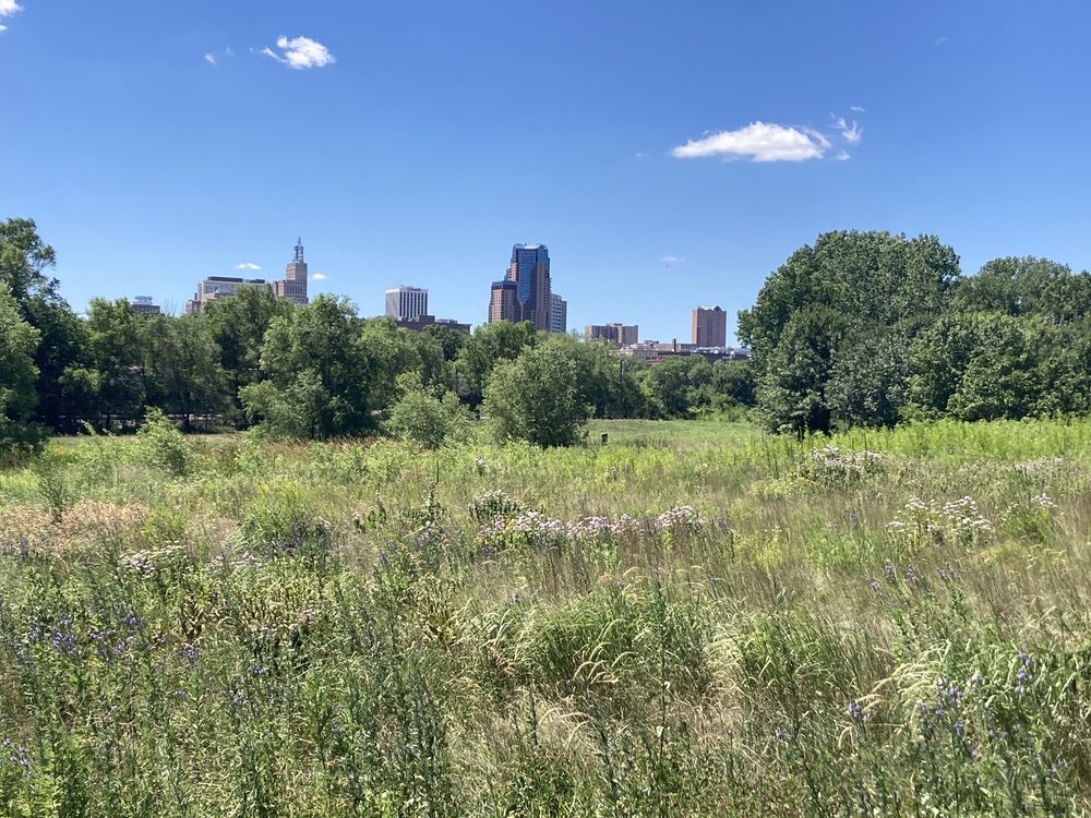 Bruce Vento Nature Sanctuary