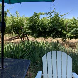 Carlson Vineyards
