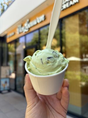 Van Leeuwen Ice Cream by null