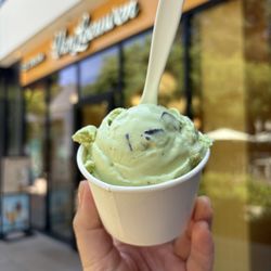Van Leeuwen - Studio City - Mint Chip