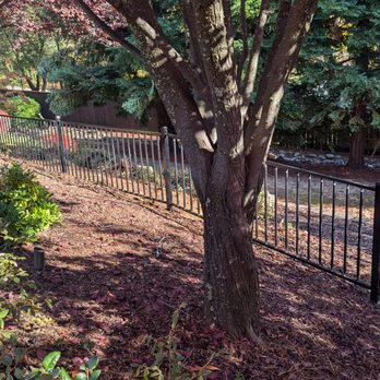 GreenTech Builders - Ornamental Iron Fence - Fences & Gates Near Me - El Dorado Hills, California GreenTech Builders - Ornamental Iron Fence - Fences & Gates Near Me - El Dorado Hills, California