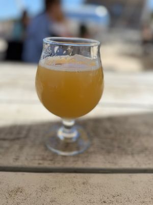 Tree House Brewing - Cape Cod by null