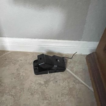 Joshua's Pest Control - One of Joshua's trap - Pest Control Near Me - San Diego, California Joshua's Pest Control - One of Joshua's trap - Pest Control Near Me - San Diego, California