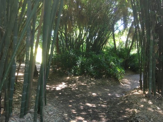 City Botanic Gardens by null