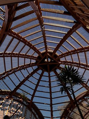 Botanical Building by null