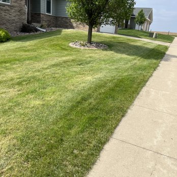 Enke Lawn Care - a tree in the front yard - Snow Removal Near Me Enke Lawn Care - a tree in the front yard - Snow Removal Near Me