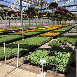 Manning's Greenhouse