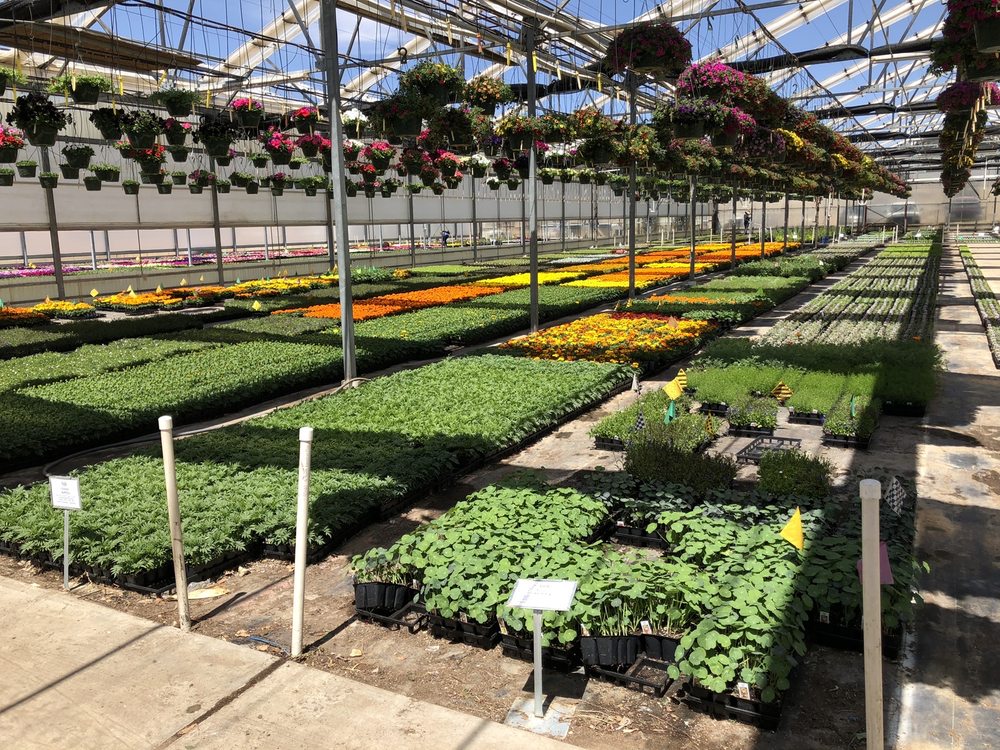 MANNING’S GREENHOUSE Updated August 2024 29 Road 6299, Kirtland