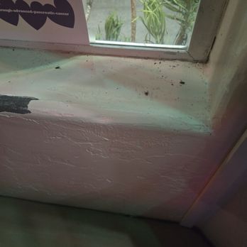 Las Cambritas - Window sill covered with flies. - Mexican Near Me - Cambria, California