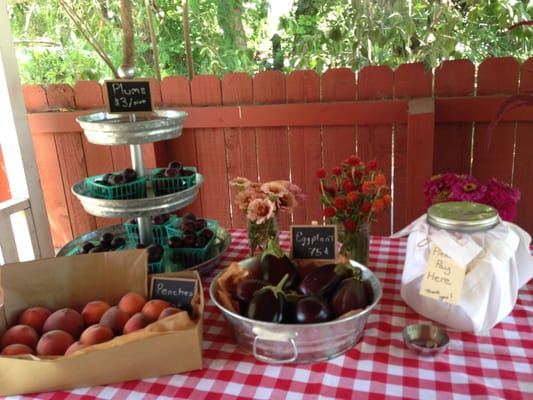 Stolpman Vineyards - Los Olivos Tasting Room by null