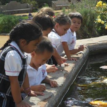Mission Basilica School - Love that the kids get to feed the Koi everyday. - Elementary Schools Near Me - San Juan Capistrano, California Mission Basilica School - Love that the kids get to feed the Koi everyday. - Elementary Schools Near Me - San Juan Capistrano, California
