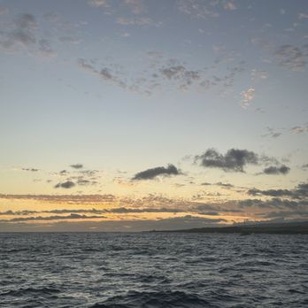 Blue Dolphin Charters - Boating Near Me - Eleele, Hawaii