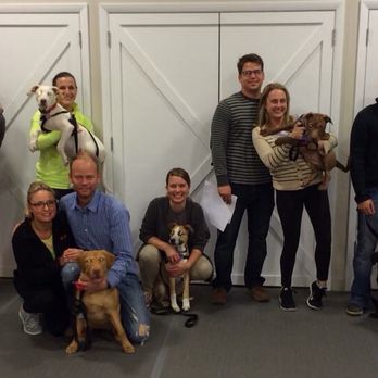 PAWS Chicago Training Center - Graduation day!!! - Pet Training Near Me - Chicago, Illinois PAWS Chicago Training Center - Graduation day!!! - Pet Training Near Me - Chicago, Illinois