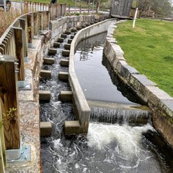 Dexter Grist Mill