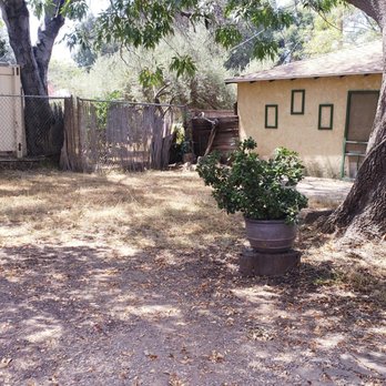 Mott Restoration - back yard - before - Landscaping Near Me - Pasadena, California Mott Restoration - back yard - before - Landscaping Near Me - Pasadena, California