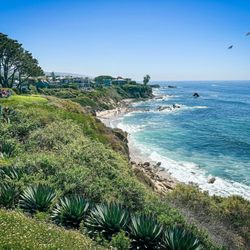 Lookout Point - The view from Lookout Point