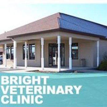 Bright Veterinary Clinic - Veterinarians Near Me - Lawrenceburg, Indiana Bright Veterinary Clinic - Veterinarians Near Me - Lawrenceburg, Indiana