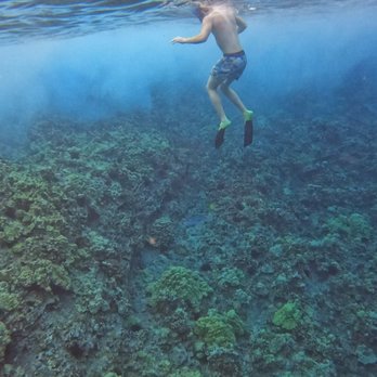 Maui Snorkel Charters - Boat Tours Near Me - Kihei, Hawaii Maui Snorkel Charters - Boat Tours Near Me - Kihei, Hawaii
