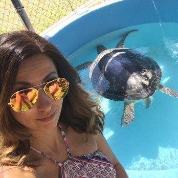 The Turtle Hospital - First, lemme take a Turtle selfie. - Veterinarians Near Me - Marathon, Florida The Turtle Hospital - First, lemme take a Turtle selfie. - Veterinarians Near Me - Marathon, Florida