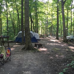 Turkey Run Campground - Primitive campsite #89. Nice and quiet!