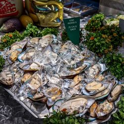 Mandarin Restaurant - Mussels